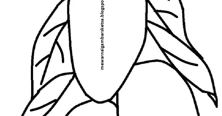 Lengkap! Cara Mewarnai Gambar Buah Mangga dengan Mudah dan Menyenangkan