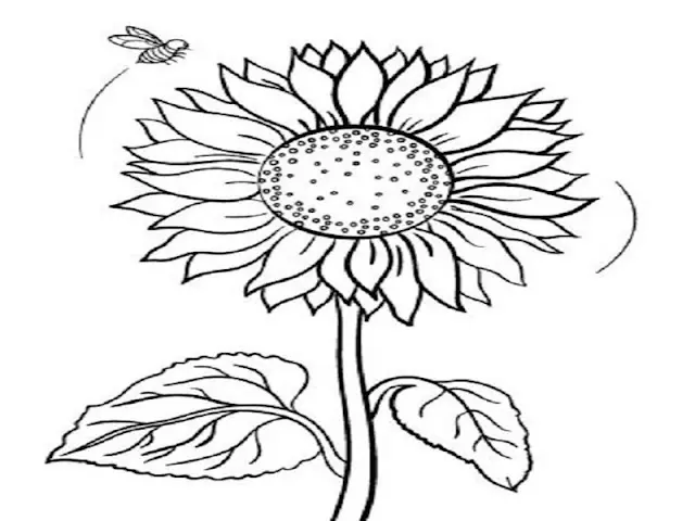 Cara Mewarnai Gambar Bunga Matahari: Panduan Lengkap untuk Pemula