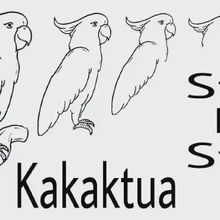 Cara Mudah Mewarnai Gambar Burung Kakak Tua untuk Pemula