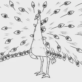 5 Cara Mudah Mewarnai Gambar Burung Merak untuk Pemula