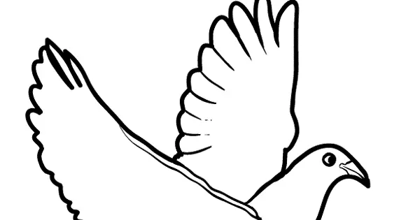 Cara Mewarnai Gambar Burung Merpati untuk Pemula - Tips dan Trik Yang Perlu Anda Ketahui