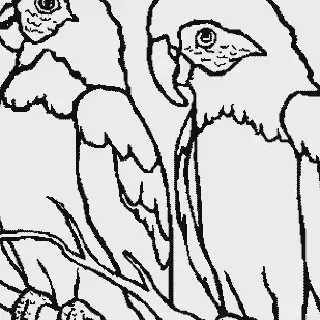 Cara Mewarnai Gambar Burung: Tips dan Trik untuk Pemula yang Mudah Dipraktikkan