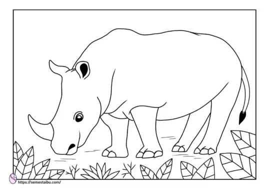 Cara Mudah Mewarnai Gambar Hewan dengan Crayon untuk Pemula