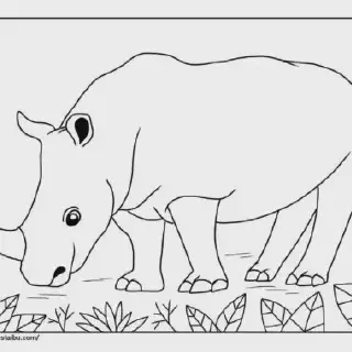 Cara Mudah Mewarnai Gambar Hewan dengan Crayon untuk Pemula