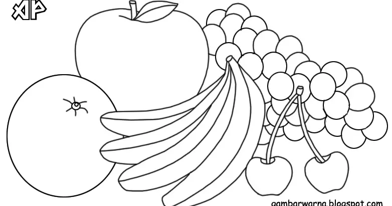 27 Contoh Gambar Mewarnai Buah yang Mudah dan Menarik untuk Anak-Anak