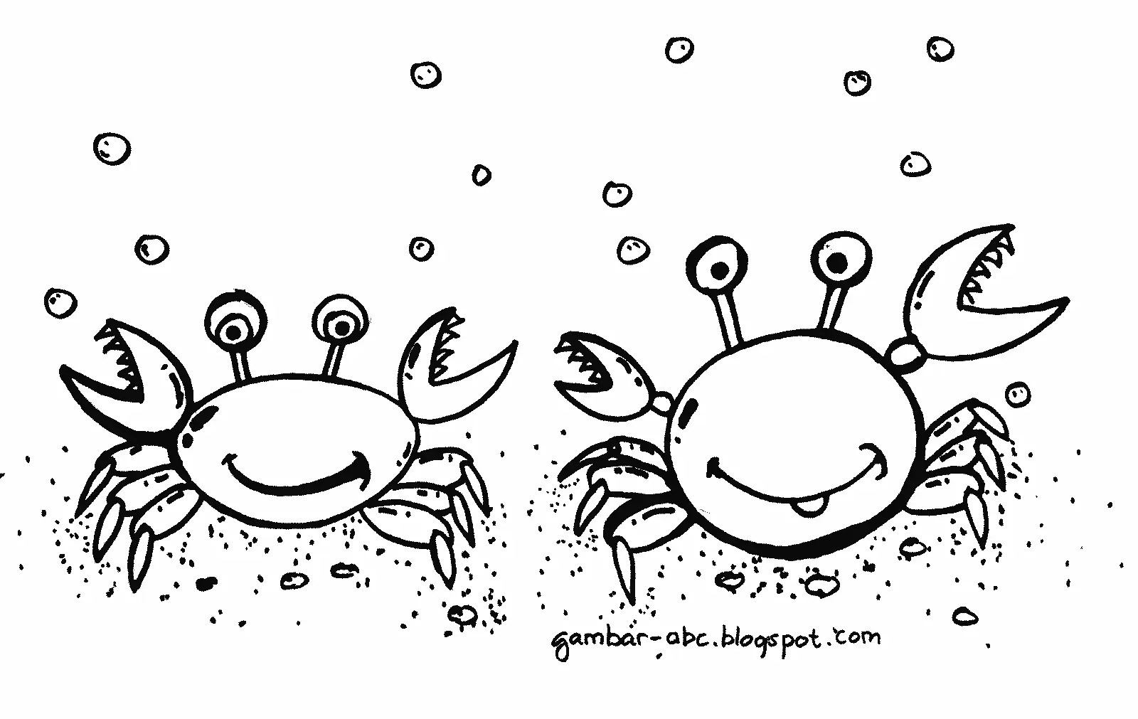 Contoh Gambar Mewarnai Hewan Laut: Buat Si Kecil Lebih Menyenangkan