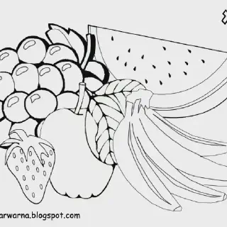 Download Gambar Mewarnai Buah: Mengasah Kreativitas Buah Hati dengan Warna-warni Cantik! - Situs Anak Terbaik