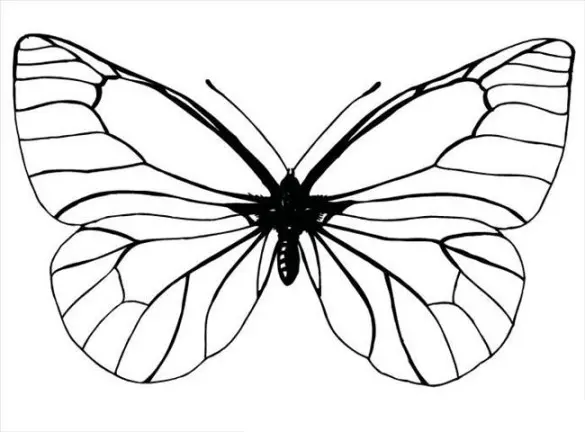 Download Gambar Mewarnai Kupu-Kupu yang Cantik dan Seru untuk Anak-Anak!