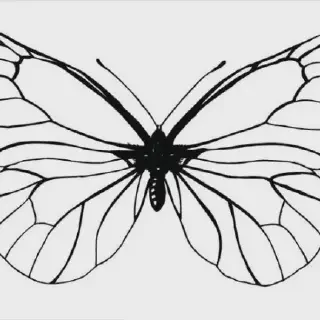 Download Gambar Mewarnai Kupu-Kupu yang Cantik dan Seru untuk Anak-Anak!