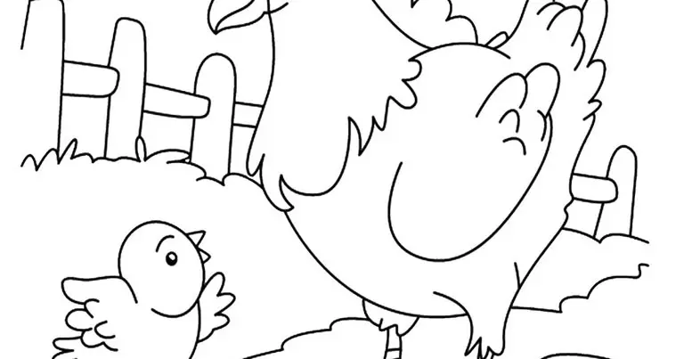 24 Gambar Ayam Lucu yang Cocok untuk Mewarnai Anak PAUD yang Menyenangkan