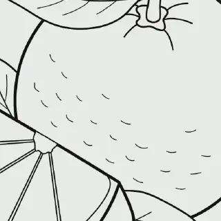 Mewarnai Gambar Buah Jeruk: Tips dan Trik untuk Pemula