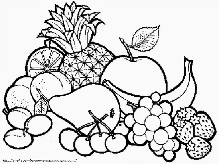 Kreatif! 10 Ide Gambar Buah Mewarnai Anak PAUD Untuk Belajar Bersama