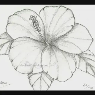 Belajar Mewarnai Gambar Bunga Rafflesia untuk Anak-anak dengan Mudah