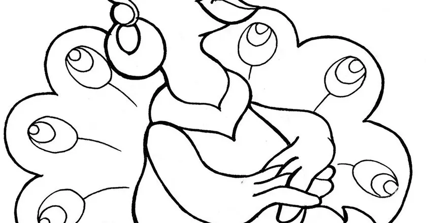 Mengenal Burung Merak dan Berkreasi Dengan Gambar Burung Merak Untuk Mewarnai