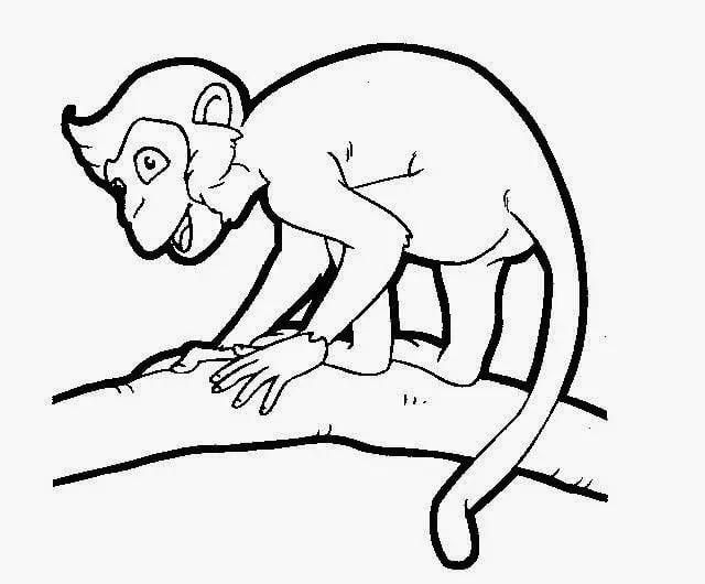 20 Gambar Hewan Hitam Putih yang Cantik untuk Mewarnai