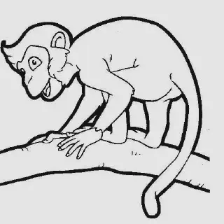 20 Gambar Hewan Hitam Putih yang Cantik untuk Mewarnai