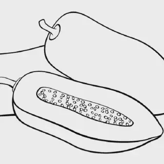 20+ Contoh Gambar Mewarnai Anak PAUD Buah yang Seru untuk Dicoba!