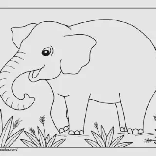 15 Sampel Gambar Mewarnai Anak PDF Terbaik untuk Mengisi Waktu Luang Mereka