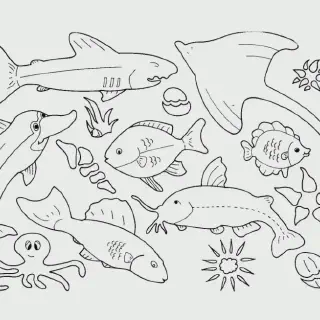 Gambar Mewarnai Binatang Air yang Lucu dan Menggemaskan untuk Anak-Anak