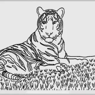 8 Gambar Mewarnai Binatang Harimau yang Lucu dan Seru untuk Anak-Anak