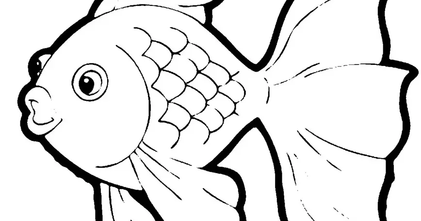 Mari Mewarnai Binatang Ikan dengan Gambar Mewarnai Binatang Ikan yang Mudah dan Menyenangkan