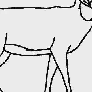 Mewarnai Gambar Binatang Rusa dengan Keindahan yang Luar Biasa