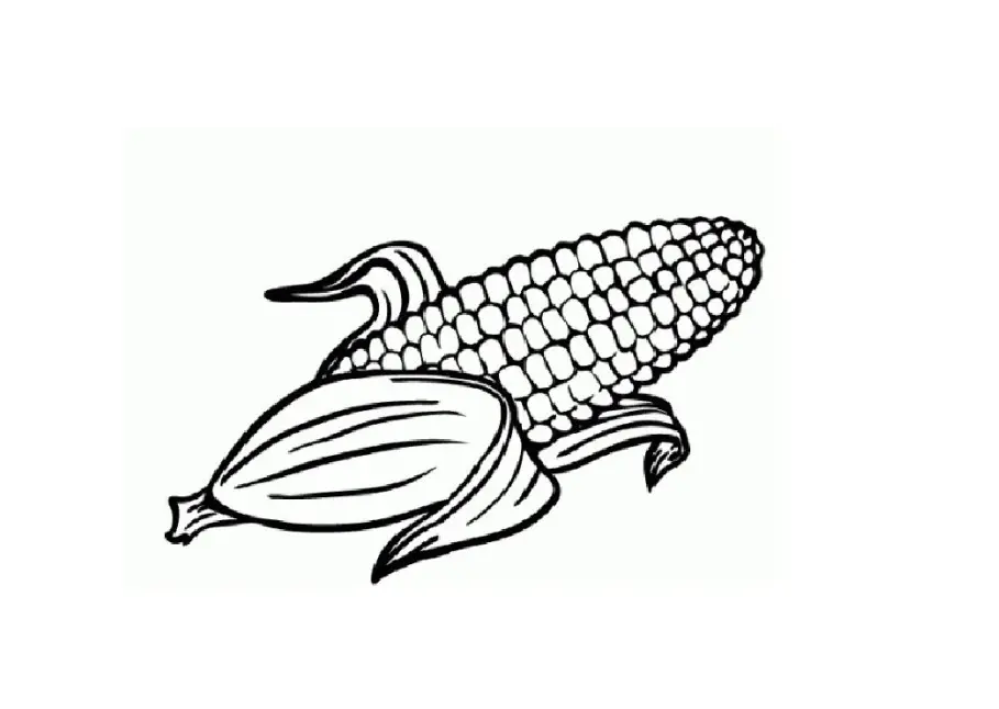 Mewarnai Buah Jagung yang Menyegarkan dan Menyenangkan untuk Anak-Anak