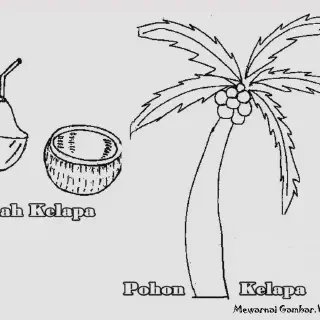Mewarnai Buah Jambu Air dengan Gambar yang Cantik dan Unik