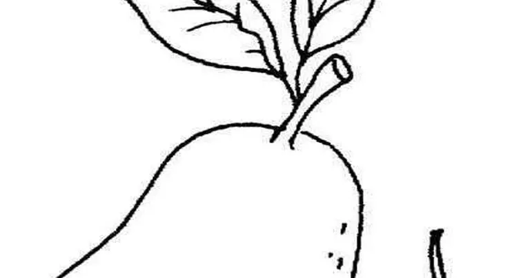 Belajar Gambar Mewarnai Buah Jambu Biji Untuk Pemula - Tips dan Trik