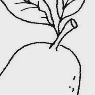 Belajar Gambar Mewarnai Buah Jambu Biji Untuk Pemula - Tips dan Trik