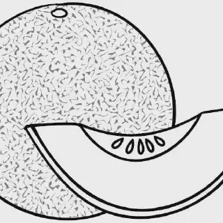 Rasakan Keasyikan Belajar dengan Gambar Mewarnai Buah Melon! Sudah Coba Belum?