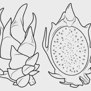 Mewarnai Buah Naga: Cara Seru Mengeksplorasi Kreativitas Anak dengan Gambar Mewarnai Buah Naga