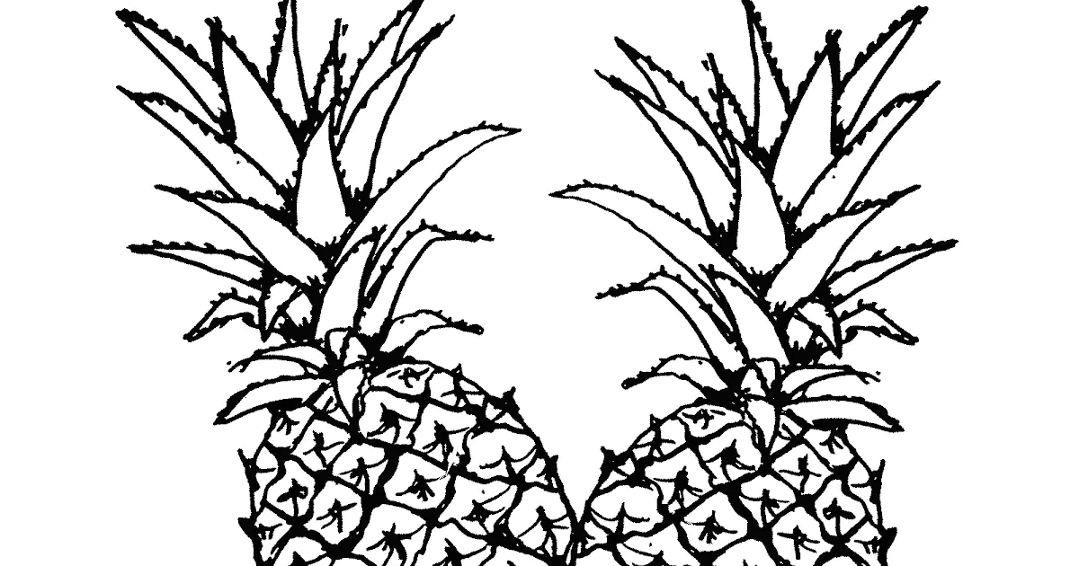 Belajar Gambar Mewarnai Buah Nanas: Selamatkan Waktumu dengan Kreativitasmu!