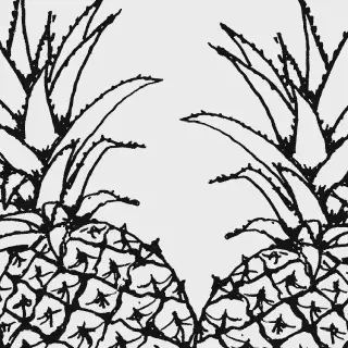 Belajar Gambar Mewarnai Buah Nanas: Selamatkan Waktumu dengan Kreativitasmu!