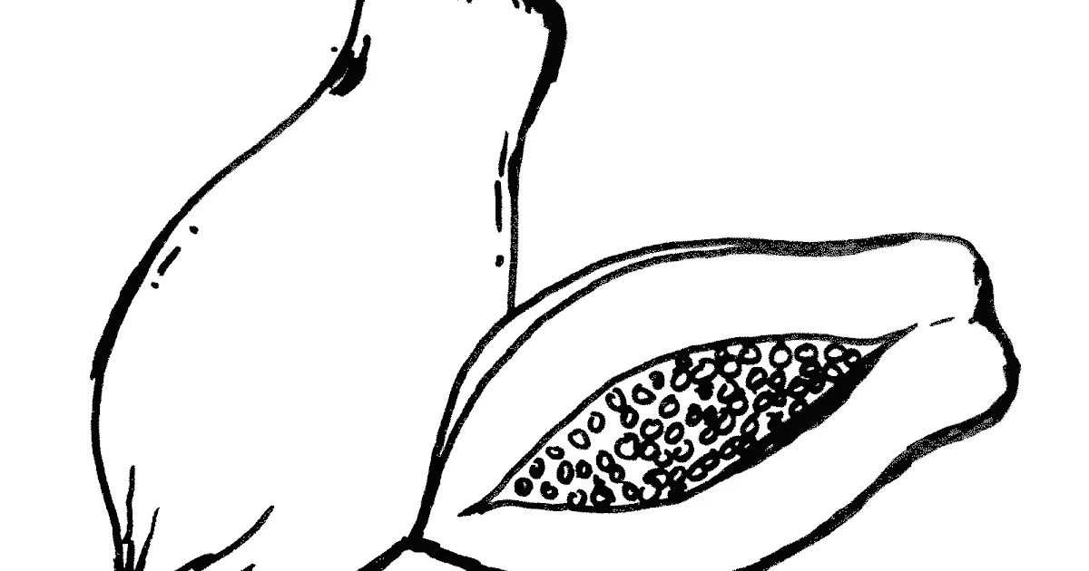 Cara Menemukan Keseruan dalam Gambar Mewarnai Buah Pepaya Untuk Pemula!