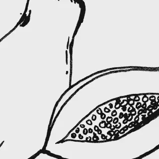 Cara Menemukan Keseruan dalam Gambar Mewarnai Buah Pepaya Untuk Pemula!