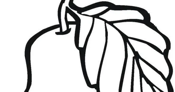 Cara Melukis Gambar Mewarnai Buah Pir: Panduan Pintar untuk Pemula