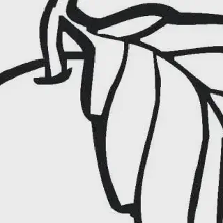 Cara Melukis Gambar Mewarnai Buah Pir: Panduan Pintar untuk Pemula