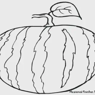 Gambar Mewarnai Buah Semangka yang Lucu dan Menarik untuk Anak-Anak