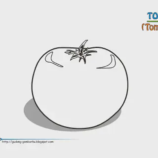 Cara Mudah Gambar Mewarnai Buah Tomat untuk Anak-anak