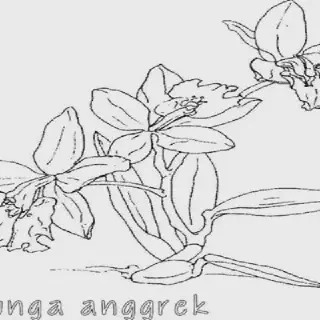 Tips Mewarnai Bunga Anggrek untuk Pemula