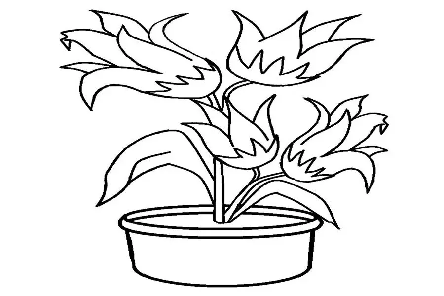 Gambar Mewarnai Bunga Dalam Pot: Tutorial Lengkap untuk Pemula