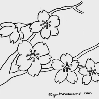 Manfaat dan Tips Menarik dalam Gambar Mewarnai Bunga dan Pot untuk Pemula