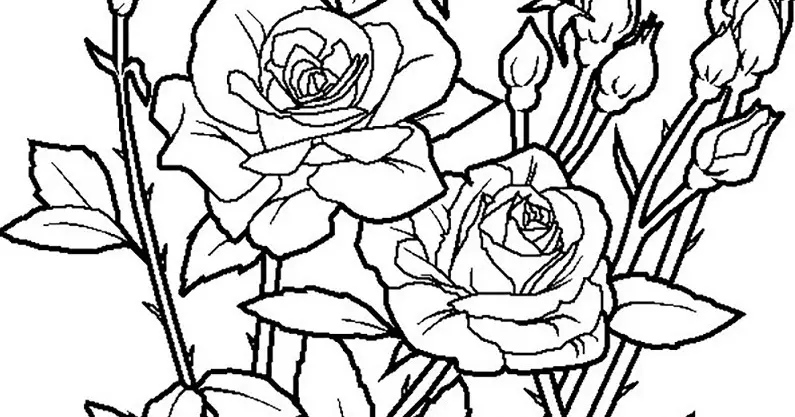 Gambar Mewarnai Bunga dan Warnanya: Bermain Sambil Belajar