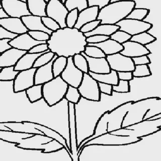 5 Jenis Bunga di Pot yang Cocok Dicoba Untuk Gambar Mewarnai Anak-Anak