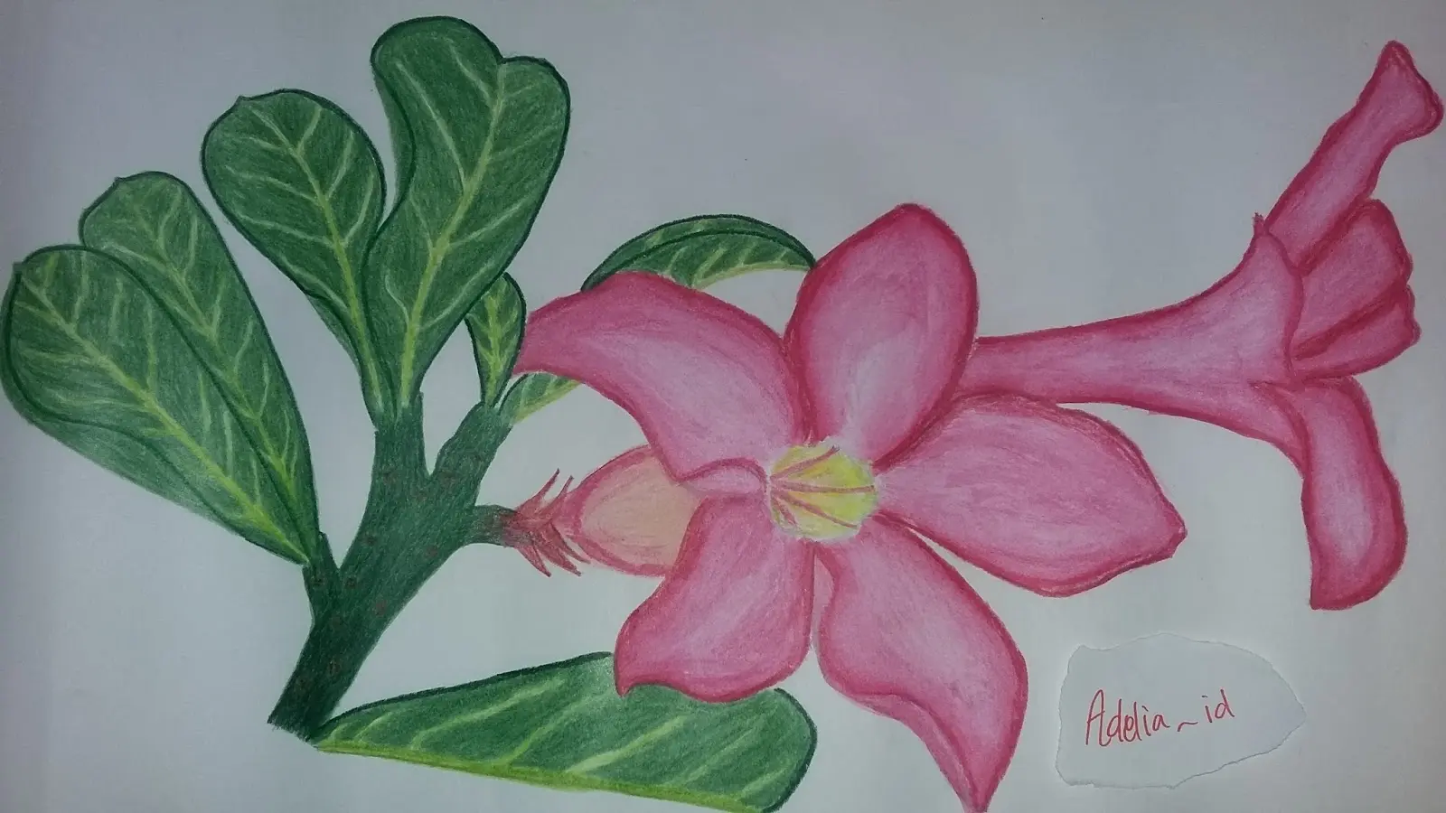 Mewarnai Bunga Kamboja - Cara Mudah untuk Meningkatkan Kreativitas Anak Anda