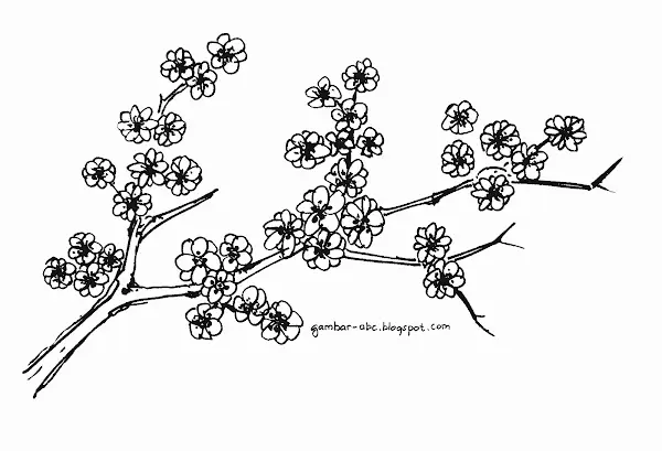 Mewarnai Bunga Sakura: Cara Mudah dan Menyenangkan untuk Melatih Kreativitas Anak!