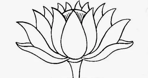 Mengapa Gambar Mewarnai Bunga Teratai Dapat Menenangkan Pikiran? Ide-ide Inspiratif untuk Merawat Kreativitas Anda