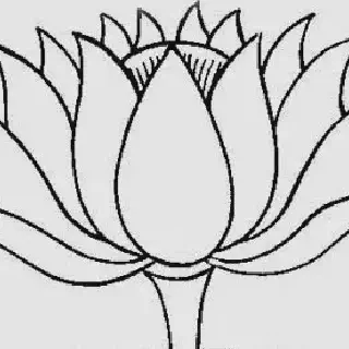 Mengapa Gambar Mewarnai Bunga Teratai Dapat Menenangkan Pikiran? Ide-ide Inspiratif untuk Merawat Kreativitas Anda