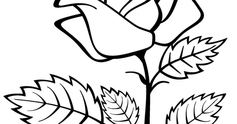 Mewarnai Bunga Terbaik untuk Pemula - Koleksi Gambar Mewarnai Bunga Terlengkap